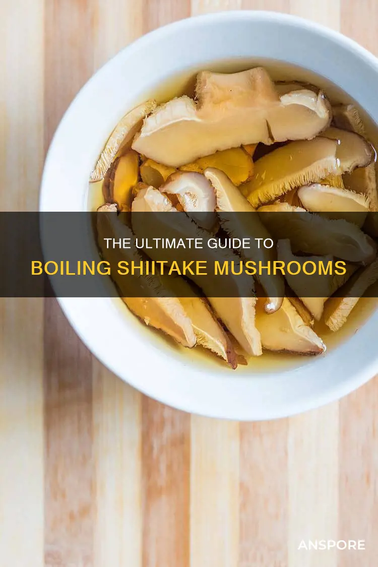 how do you boil shiitake mushrooms