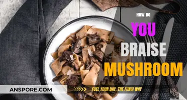 The Ultimate Guide to Braising Mushrooms
