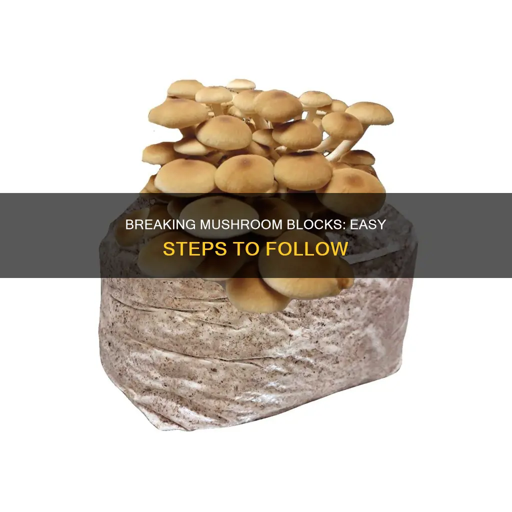 how do you break mushroom blocks