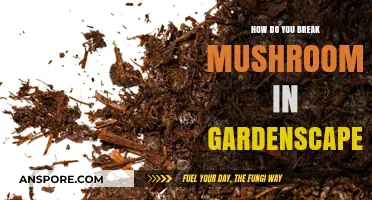 Breaking Mushrooms in Gardenscapes: A Step-by-Step Guide