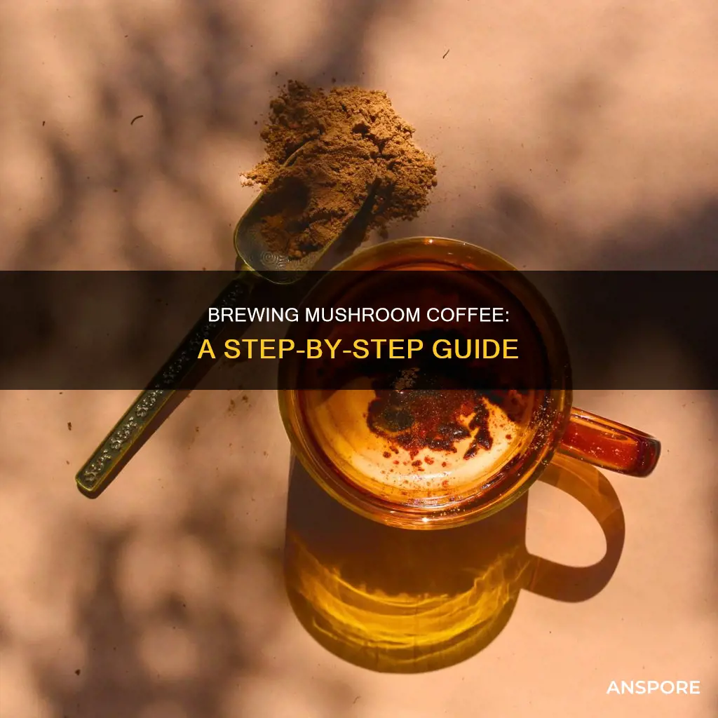 how do you brew mushroom coffee