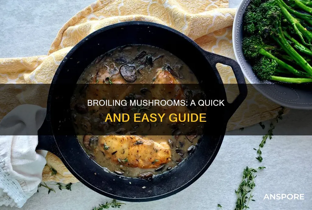 how do you broil mushrooms