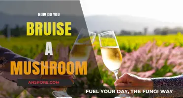 Mushroom Bruising: A Delicate Art