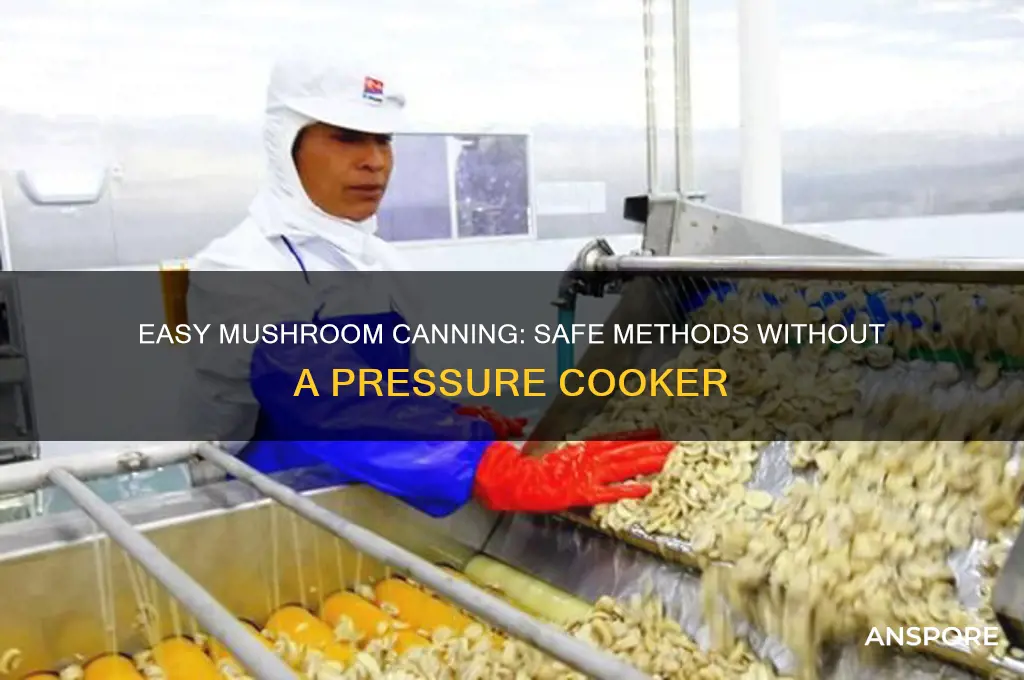 how do you can mushrooms without a pressure cooker