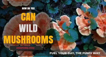 Canning Wild Mushrooms: A Step-by-Step Guide to Safe Preservation