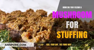 Cleaning Mushrooms for Stuffing: A Step-by-Step Guide