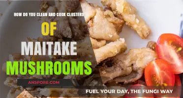 Mastering Maitake: Cleaning and Cooking Clusters for Perfect Dishes