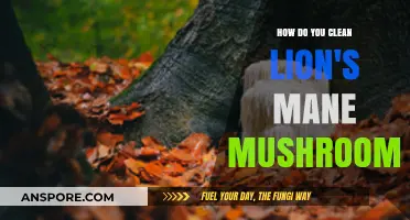 The Ultimate Guide to Cleaning Lion's Mane Mushrooms