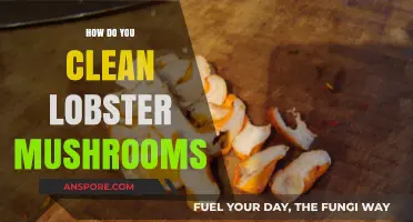 The Ultimate Guide to Cleaning Lobster Mushrooms