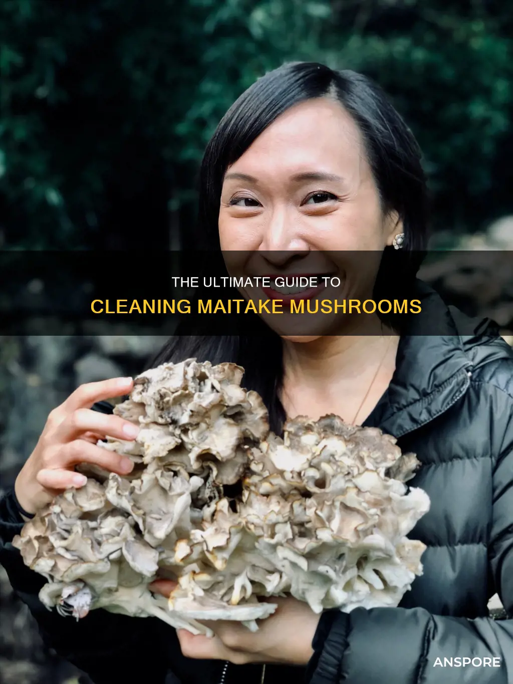 how do you clean maitake mushrooms