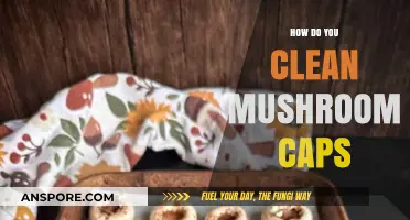 Cleaning Mushroom Caps: Easy Steps for Delicious Results