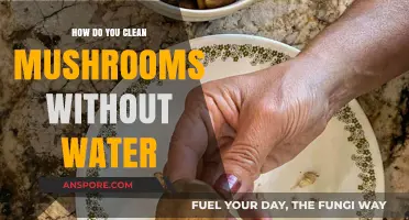 Cleaning Mushrooms: An Easy, Waterless Method
