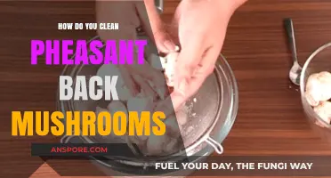 The Best Way to Clean Pheasant Back Mushrooms