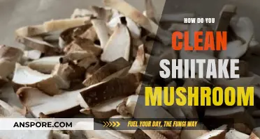 Mastering Shiitake Mushroom Cleaning: Simple Steps for Perfect Prep