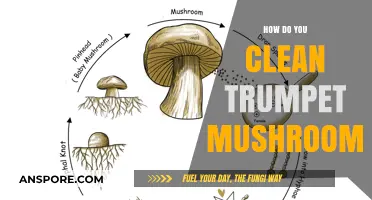 The Ultimate Guide to Cleaning Trumpet Mushrooms
