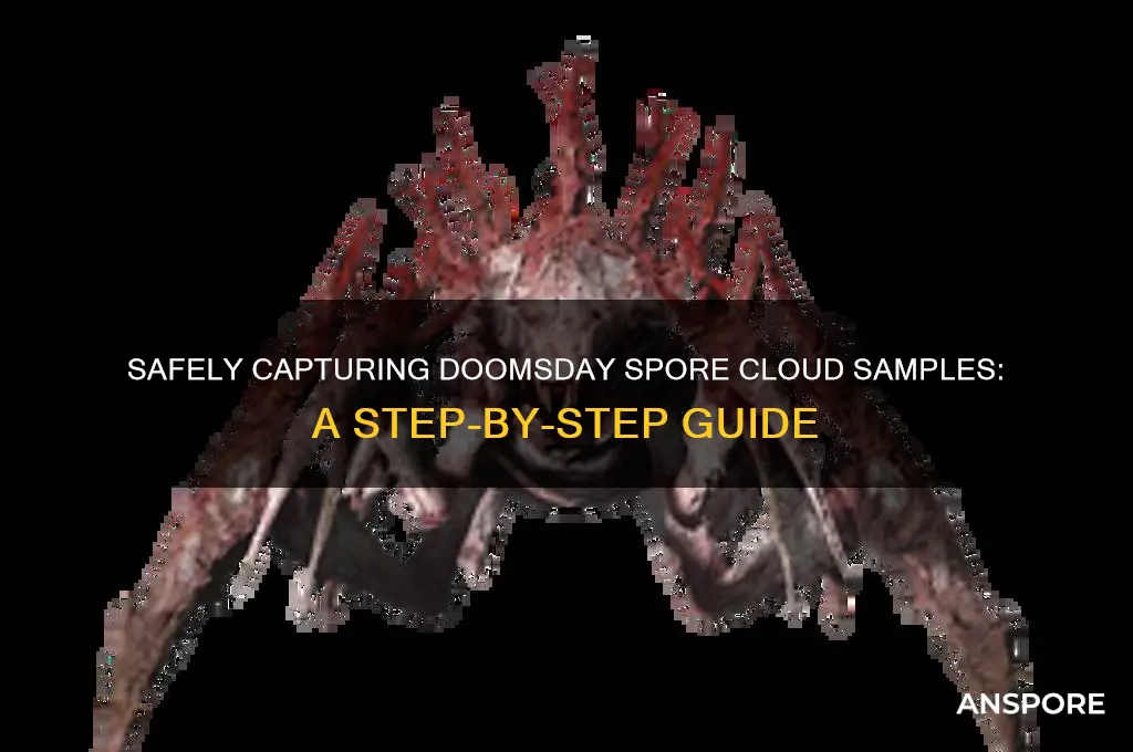 how do you collect samples of doomsday spore clouds