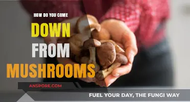 Tripping on Mushrooms? Here's How to Come Down