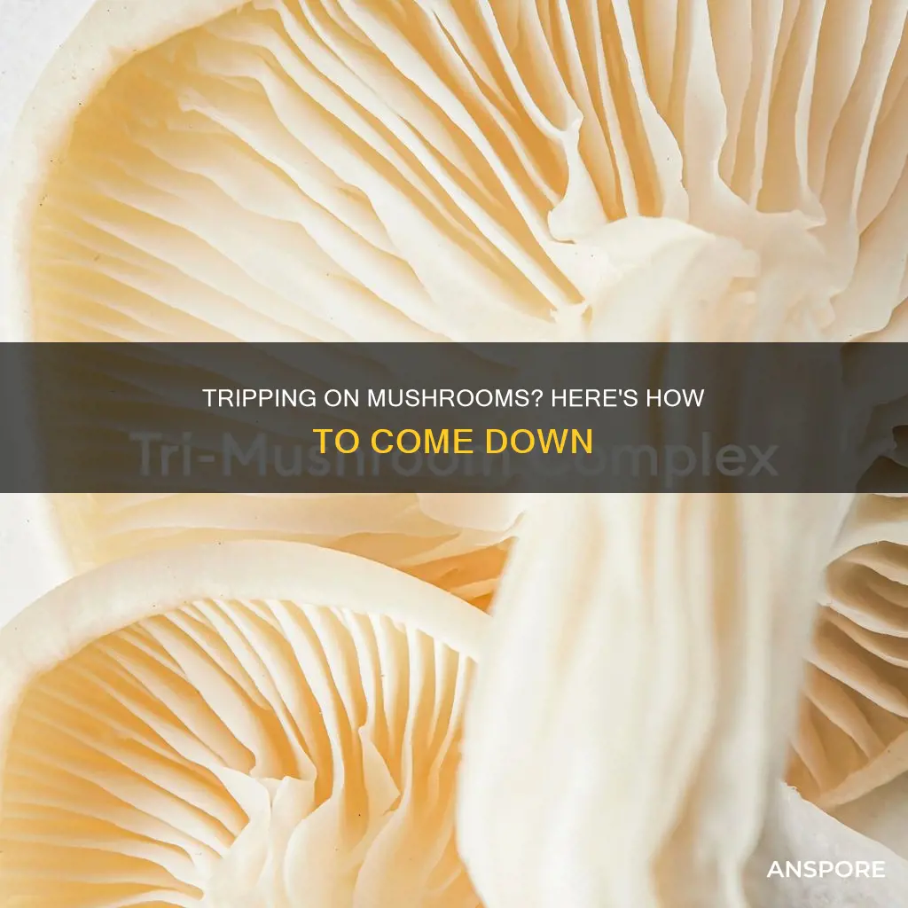 how do you come down from mushrooms