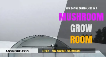 Mastering CO2 Levels: Optimal Control for Mushroom Grow Room Success