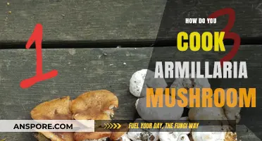 Mastering Armillaria Mushrooms: A Step-by-Step Cooking Guide for Delicious Results
