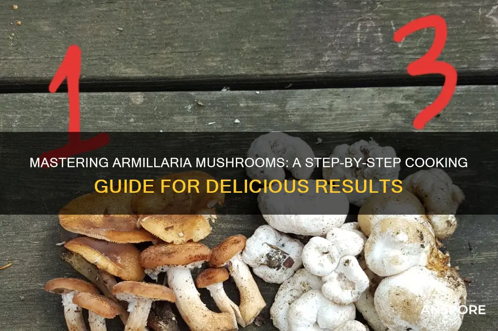 how do you cook armillaria mushrooms
