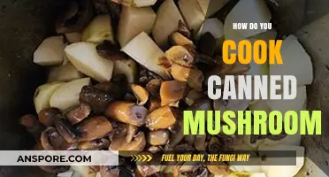 Quick & Easy Ways to Cook Canned Mushrooms for Delicious Meals