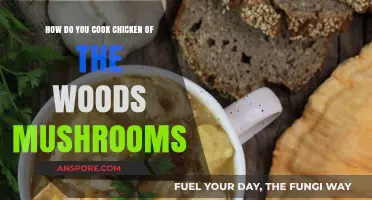 Cooking Chicken of the Woods: A Tasty Mushroom Recipe Guide