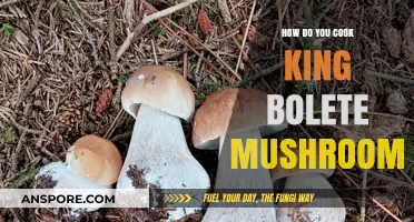 Mastering King Bolete Mushrooms: A Delicious Cooking Guide