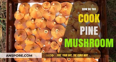 Mastering Pine Mushroom Cooking: Tips, Recipes, and Techniques for Perfection