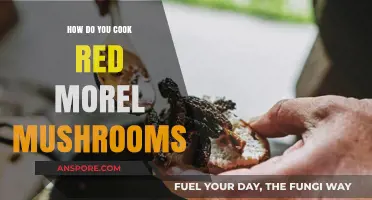 Mastering Red Morel Mushrooms: A Step-by-Step Cooking Guide