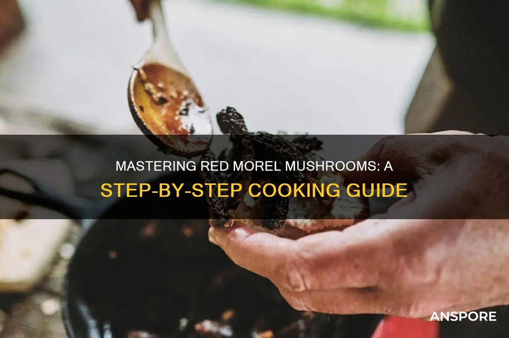 how do you cook red morel mushrooms