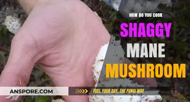 Mastering Shaggy Mane Mushrooms: A Step-by-Step Cooking Guide