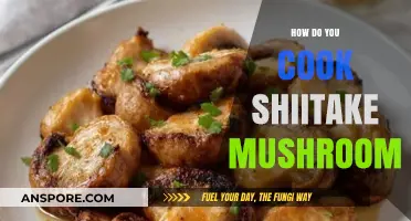 Mastering Shiitake Mushrooms: Simple Cooking Techniques for Rich Umami Flavor