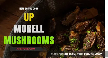 Mastering Morel Mushrooms: A Step-by-Step Cooking Guide for Perfection