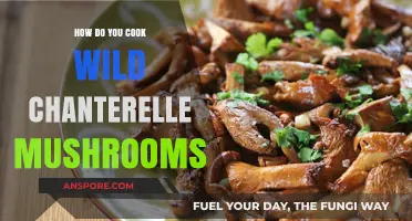 Mastering Wild Chanterelle Mushrooms: Easy Cooking Techniques & Tips