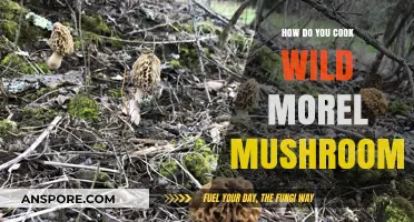 Mastering Wild Morel Mushrooms: Simple Cooking Techniques for Earthy Delights