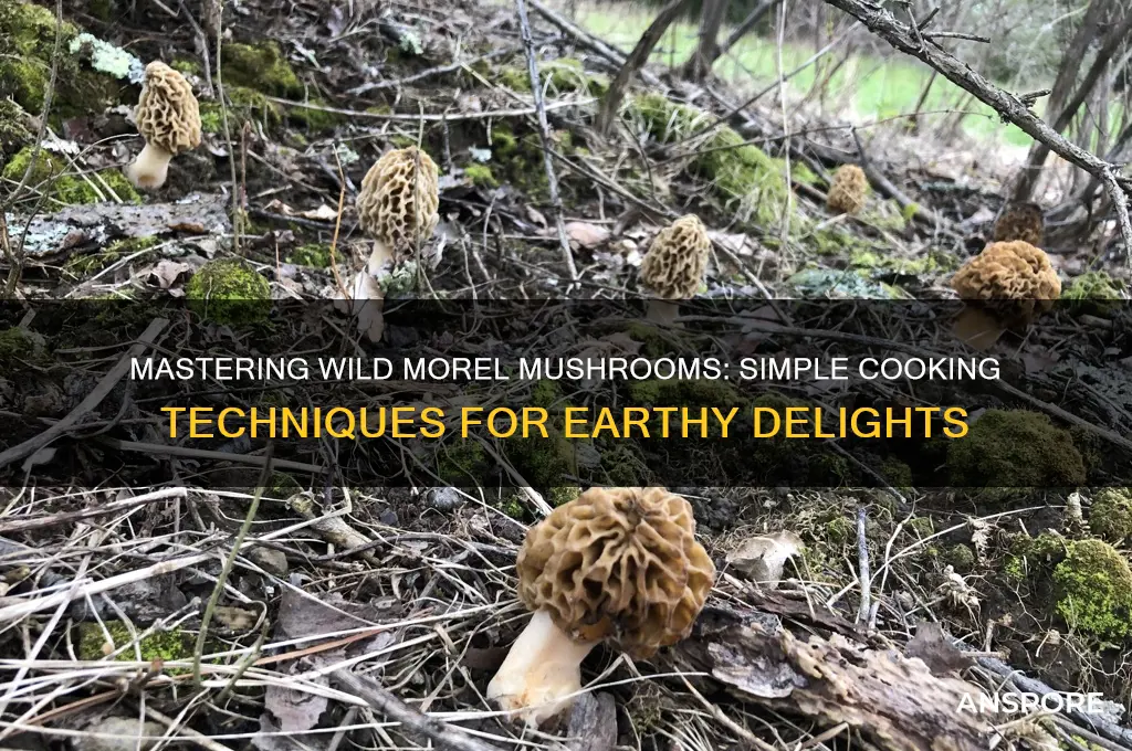 how do you cook wild morel mushrooms
