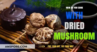Mastering Dried Mushrooms: Tips and Recipes for Flavorful Cooking