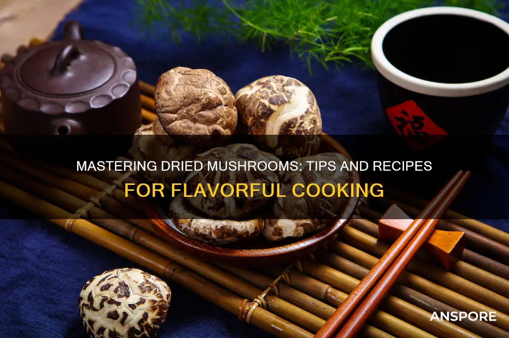 how do you cook with dried mushrooms