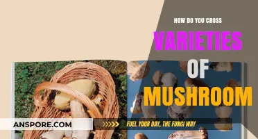 Creating Hybrid Mushrooms: Crossing Varieties for Fun and Profit