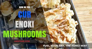 Cultivating Enoki Mushrooms: A Comprehensive Guide