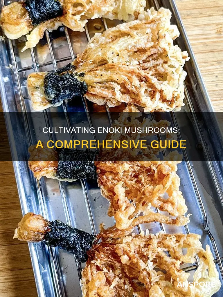 how do you cur enoki mushrooms