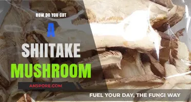 Slice Shiitake Like a Chef: Simple Cutting Techniques