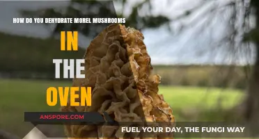 Oven-Drying Morel Mushrooms: A Simple Preservation Guide