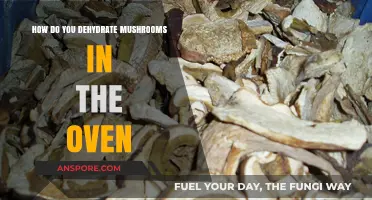 Dehydrating Mushrooms: Using Your Oven