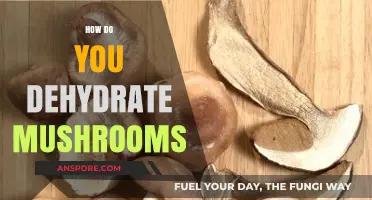 Dehydrating Mushrooms: A Step-by-Step Guide to Success