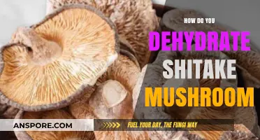Dehydrating Shiitake Mushrooms: A Step-by-Step Guide