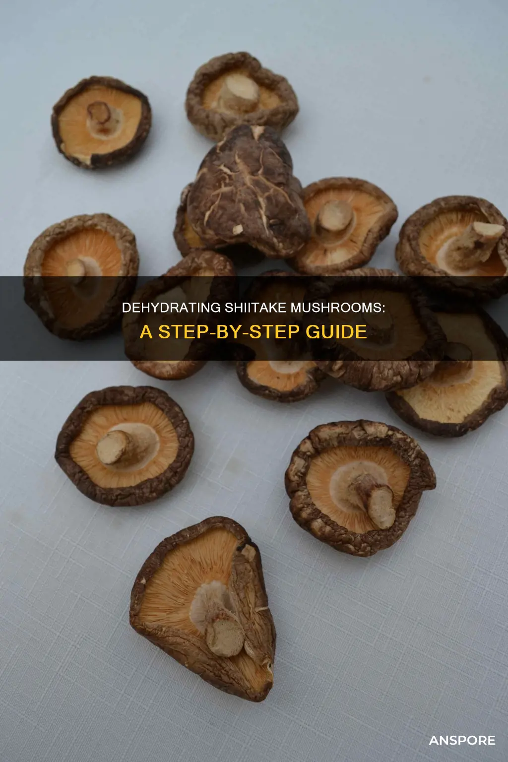 how do you dehydrate shitake mushrooms