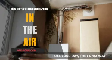 Detecting Mold Spores in the Air: Effective Methods and Tools