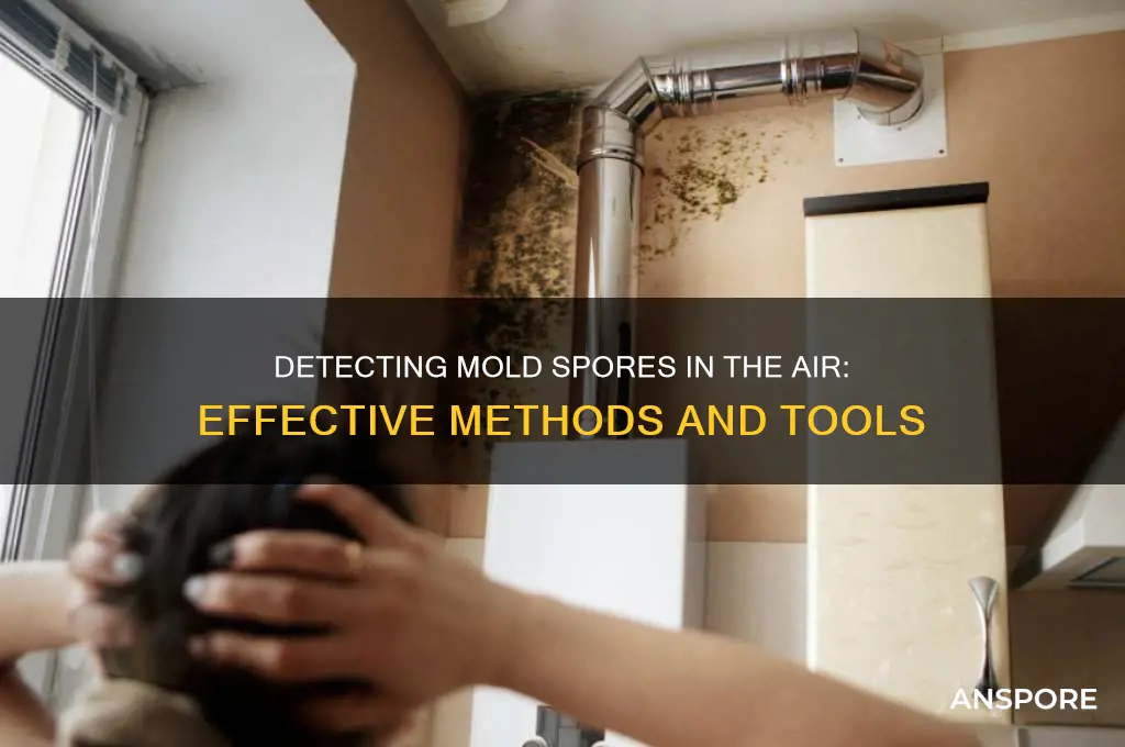 how do you detect mold spores in the air
